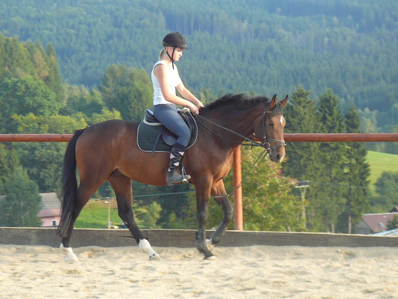 6.9.2008 126.jpg
